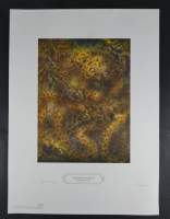BD : Estampe : Tirage Offset sur papier - Marsupilami Franquini - N° 71/250 signé FRANQUIN André