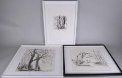 Tableau : 2 dessins et Eau - forte signés STIEVENART Michel