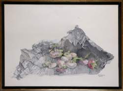 Tableau HST (acc) - Nature morte aux navets - daté 1977 signé DERIDDER Monique