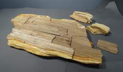 Objet: 4 morceaux de bois fossilisé / pétrifié / silicifié dont 1 de 60x35cm