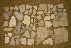 Objets: 55 fossiles ère secondaire et tertiaire comprenant des empreintes de poi