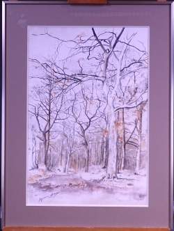 Tableau: aquarelle -Sous-bois- 1977 signé LOSSEAU Myriam Tableau: aquarelle -Sous-bois- 1977 signé LOSSEAU Myriam
